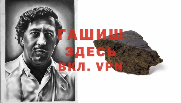 хмурый Абаза