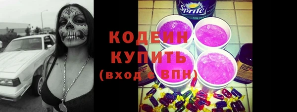 хмурый Абаза