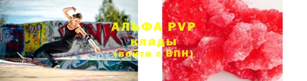 хмурый Абаза