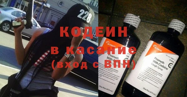 хмурый Абаза