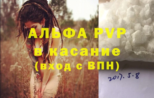 хмурый Абаза