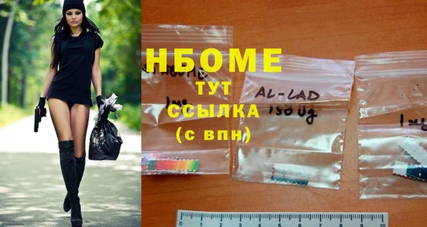 хмурый Абаза