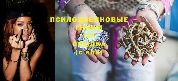 хмурый Абаза