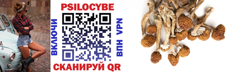 MEGA ССЫЛКА  купить закладку  Костомукша  Псилоцибиновые грибы прущие грибы 